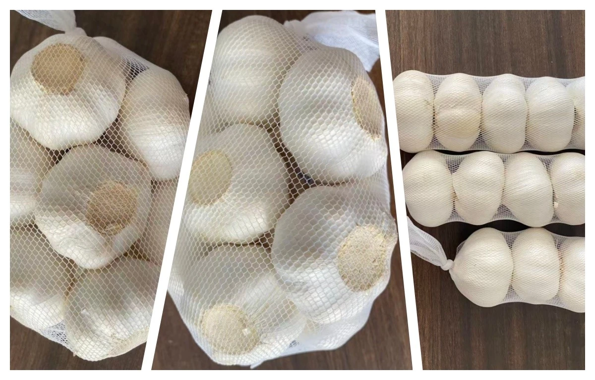 pure white garlic pure white garlic